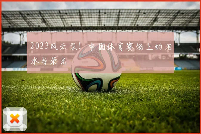 2023风云录！中国体育赛场上的泪水与荣光