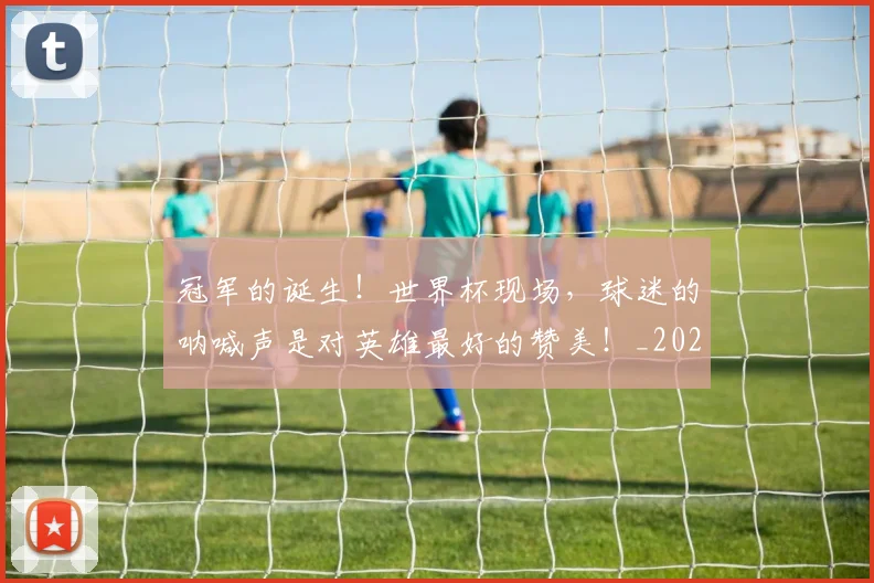 冠军的诞生!世界杯现场,球迷的呐喊声是对英雄最好的赞美!_20260704172829