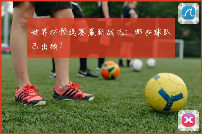 世界杯预选赛最新战况:哪些球队已出线?