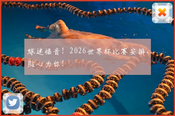 球迷福音！2026世界杯比赛安排，贴心为你！