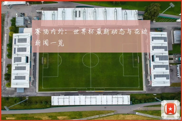 赛场内外：世界杯最新动态与花边新闻一览