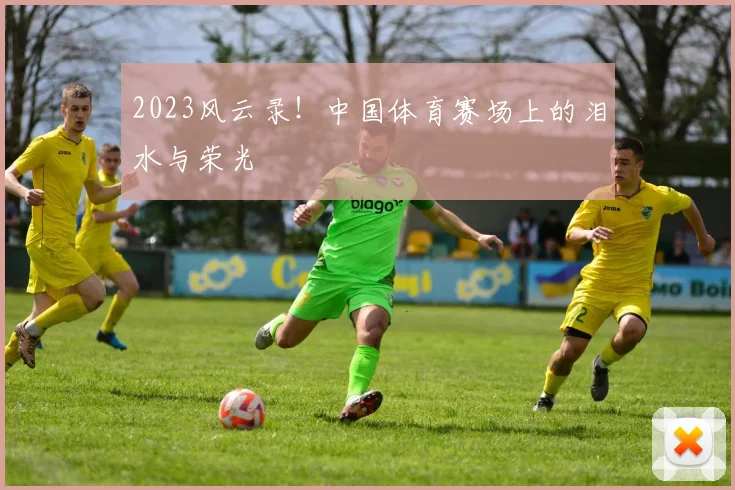 2023风云录！中国体育赛场上的泪水与荣光